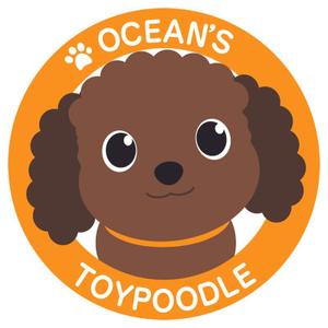 じゅんた (junta)さんのプードル専門店の、イメージキャラクターへの提案