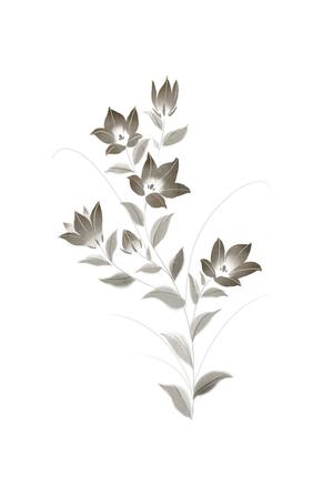 柏木　瑛美 ()さんの花のイラスト作成　　への提案