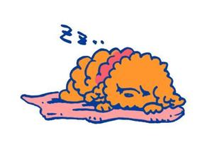 a ()さんのプードル専門店の、イメージキャラクターへの提案