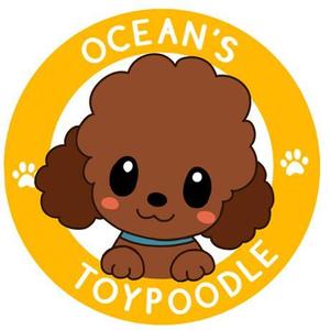 k_4uさんのプードル専門店の、イメージキャラクターへの提案