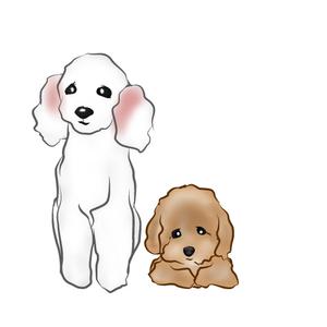 クジョウ (yui00)さんのプードル専門店の、イメージキャラクターへの提案