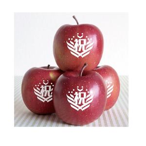 ninaiya (ninaiya)さんのタイの輸入業者FoodGallery「プリントりんご」のデザインへの提案