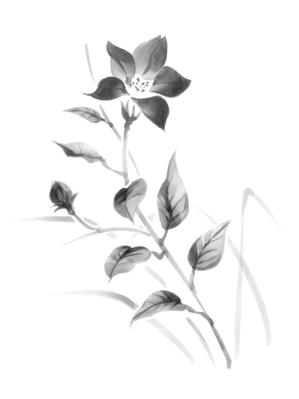 ミウラ (miura03)さんの花のイラスト作成　　への提案
