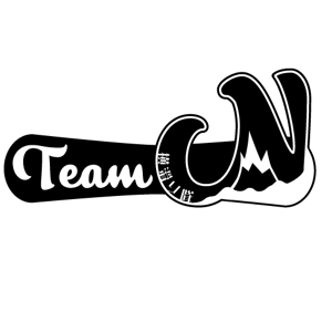 Juneco (5f01ae5152a2e)さんのスノーボードチーム「Team N」のロゴ製作依頼への提案