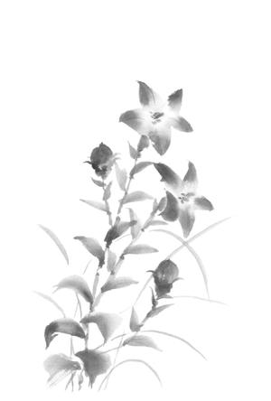 さんの花のイラスト作成　　への提案