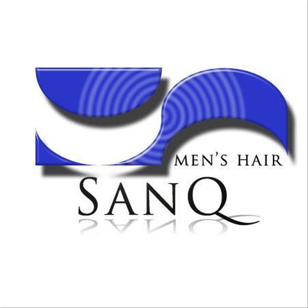 sanQ1.jpg