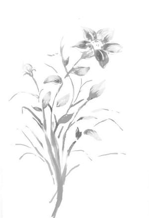 さんの花のイラスト作成　　への提案