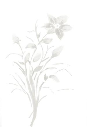 さんの花のイラスト作成　　への提案