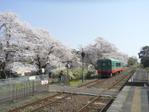 上野貴道 (UeTaka)さんの【スマホOK】電車からの車窓写真・駅から風景写真を募集します【大量当選予定】【複数投稿OK】への提案