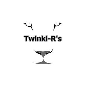 mitsuru (mitsuru-zbn4649)さんのSNSを使用した新プロジェクトの「Twinkle-R's」公式ロゴ制作依頼への提案