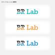 br_lab2-02.jpg