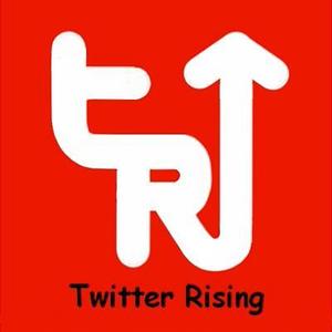 suzukimakotoさんの「t Rising」のロゴ作成への提案
