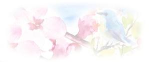 junvan2001さんの美しい自然　イラスト・または写真加工への提案