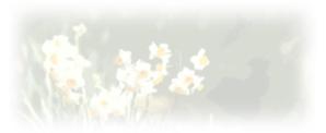 monkeytree (monkeytree)さんの美しい自然　イラスト・または写真加工への提案