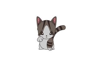 赤星　光流 (yukikaze0213)さんのペットをモチーフにしたアパレルブランド「ALOHA PETS」のイメージキャラクターへの提案
