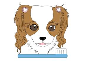 すぎもと樹 (MizCedar)さんの歯科医院のキャラクターデザイン「キャバリア犬」への提案