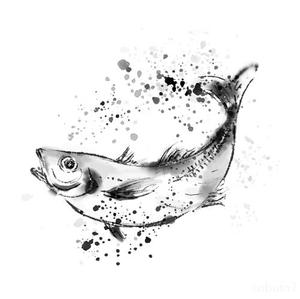 sabuta (sabuta7)さんの鯵（アジ）の筆で書いたイラスト制作への提案