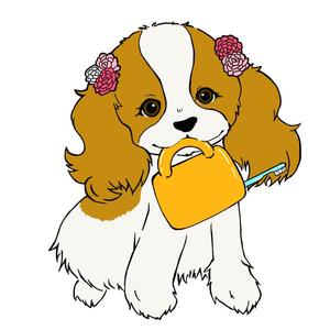 糸山ぐみ (y_i1210)さんの歯科医院のキャラクターデザイン「キャバリア犬」への提案