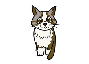 小田　一郎 (ichannel16)さんのペットをモチーフにしたアパレルブランド「ALOHA PETS」のイメージキャラクターへの提案