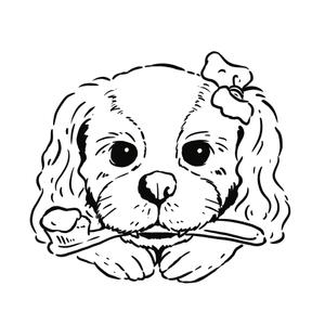 KMD (kasemiki)さんの歯科医院のキャラクターデザイン「キャバリア犬」への提案