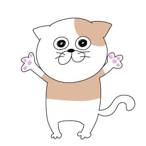 RuRuCo (RuRuCo)さんの【継続依頼あり】コインランドリーを運営する会社のキャラクター依頼（猫限定）への提案