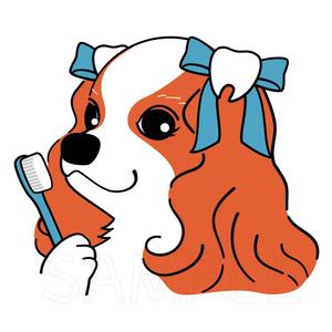 あーまん (aaman)さんの歯科医院のキャラクターデザイン「キャバリア犬」への提案