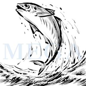 MEGA (MEGA)さんの鯵（アジ）の筆で書いたイラスト制作への提案