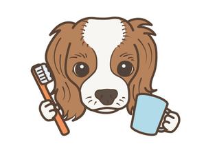 あおやま (aoyamanaoko1989)さんの歯科医院のキャラクターデザイン「キャバリア犬」への提案