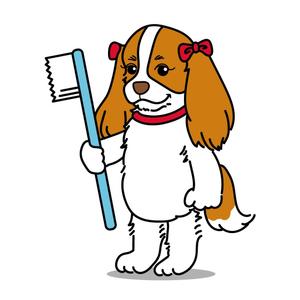 水谷桃子 (momoko-f)さんの歯科医院のキャラクターデザイン「キャバリア犬」への提案