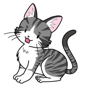 RINPOCA (m_mine)さんのペットをモチーフにしたアパレルブランド「ALOHA PETS」のイメージキャラクターへの提案