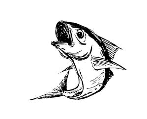 abi_sadaさんの鯵（アジ）の筆で書いたイラスト制作への提案