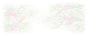 Studio　神風 (gintoki)さんの美しい自然　イラスト・または写真加工への提案