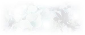 光 (Mson)さんの美しい自然　イラスト・または写真加工への提案