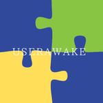 ちい (miniC1kame)さんの美容皮膚科に対しての経営コンサル会社「UserAwake」のロゴへの提案
