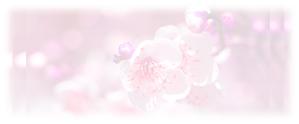 池ノ谷祐子 (yuko_ikenoya)さんの美しい自然　イラスト・または写真加工への提案