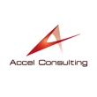 Accel_Consulting-001.jpg