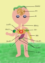 ウッズママ (lemon_desine)さんの野菜でつくる人体解剖図ポスター制作への提案