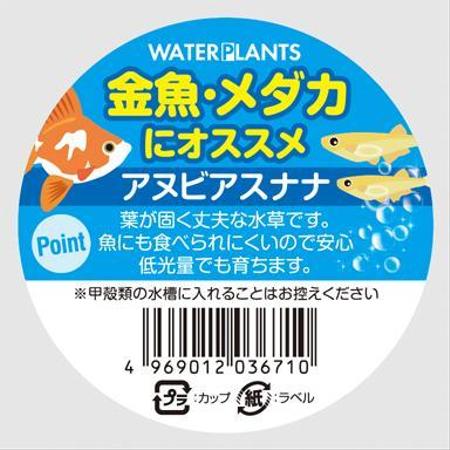 Deux (Deux)さんのカップ入り水草　《アヌビアスナナ》のラベルデザインへの提案