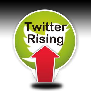 kirei (kirei)さんの「t Rising」のロゴ作成への提案