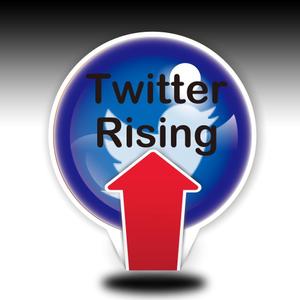 kirei (kirei)さんの「t Rising」のロゴ作成への提案