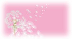 井上芳之 (Sprout)さんの美しい自然　イラスト・または写真加工への提案