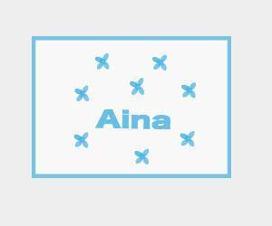 MINTO (smartc)さんのスポーツ系ブランド「Aina（アイナ）」のロゴへの提案