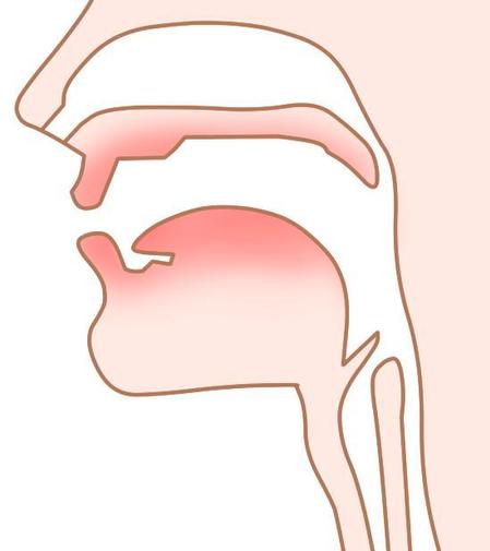 Suzumarushoutenさんの事例 実績 提案 ボイストレーニング用の声帯や喉の周りのイラスト はじめまして豊川でイ クラウドソーシング ランサーズ