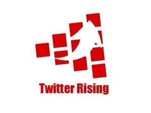 acve (acve)さんの「t Rising」のロゴ作成への提案
