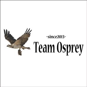 noramimiさんの「Team Osprey 　~since2013~」のロゴ作成への提案