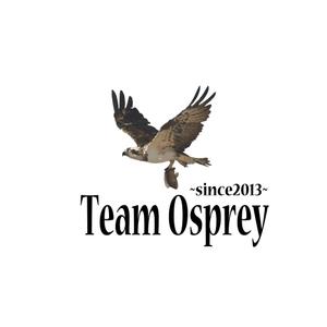 noramimiさんの「Team Osprey 　~since2013~」のロゴ作成への提案