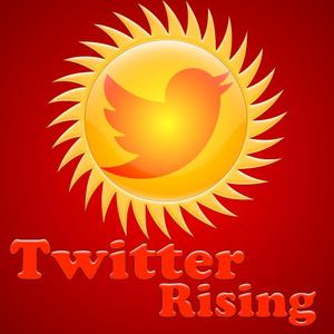 Masahiro Yamashita (my032061)さんの「t Rising」のロゴ作成への提案