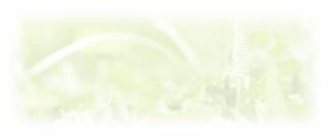 green_Bambi (green_Bambi)さんの美しい自然　イラスト・または写真加工への提案