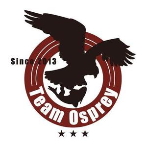 design_otさんの「Team Osprey 　~since2013~」のロゴ作成への提案