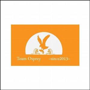 まのかな (manokanajp)さんの「Team Osprey 　~since2013~」のロゴ作成への提案